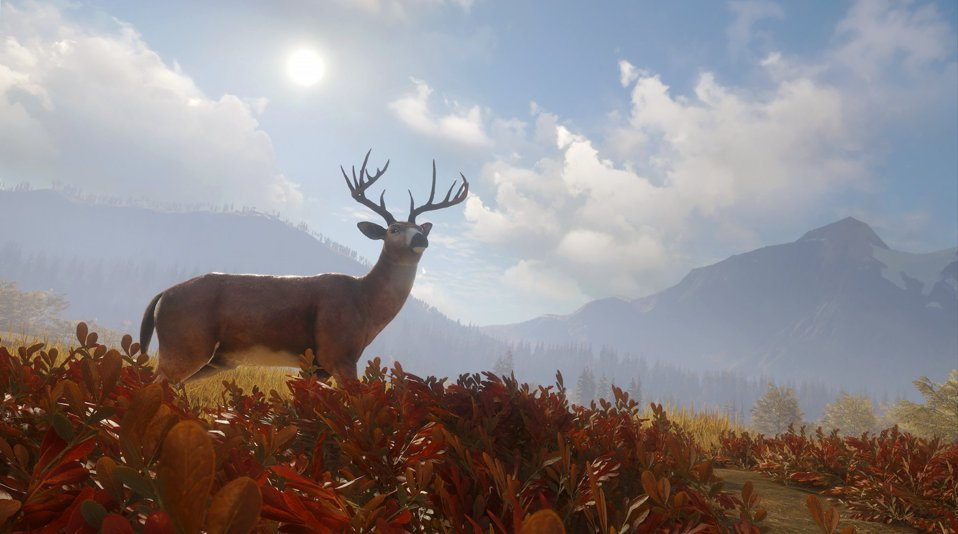 猎人：荒野的召唤 / theHunter: Call of the Wild