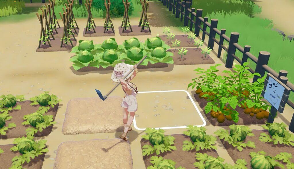 星砂岛 / Starsand Island 星砂岛 / Starsand Island