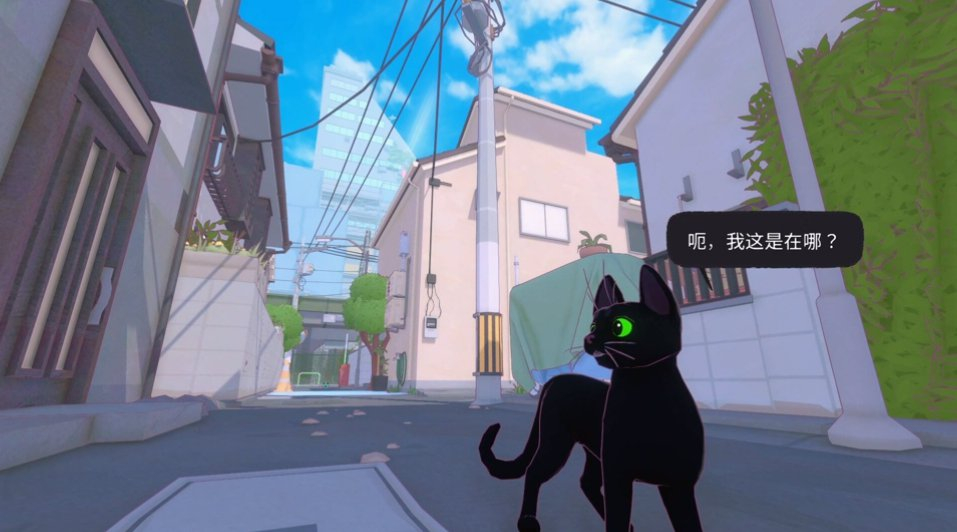 小猫咪大城市 / Little Kitty, Big City 小猫咪大城市 / Little Kitty, Big City